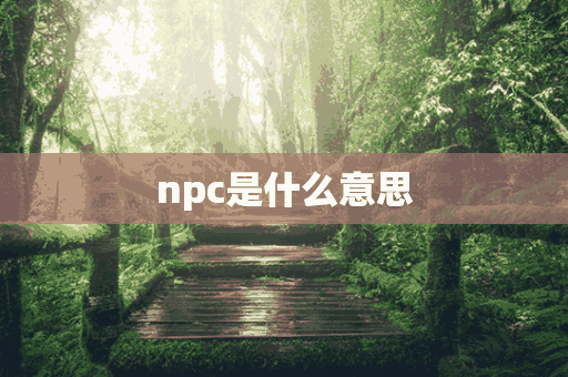 npc是什么意思